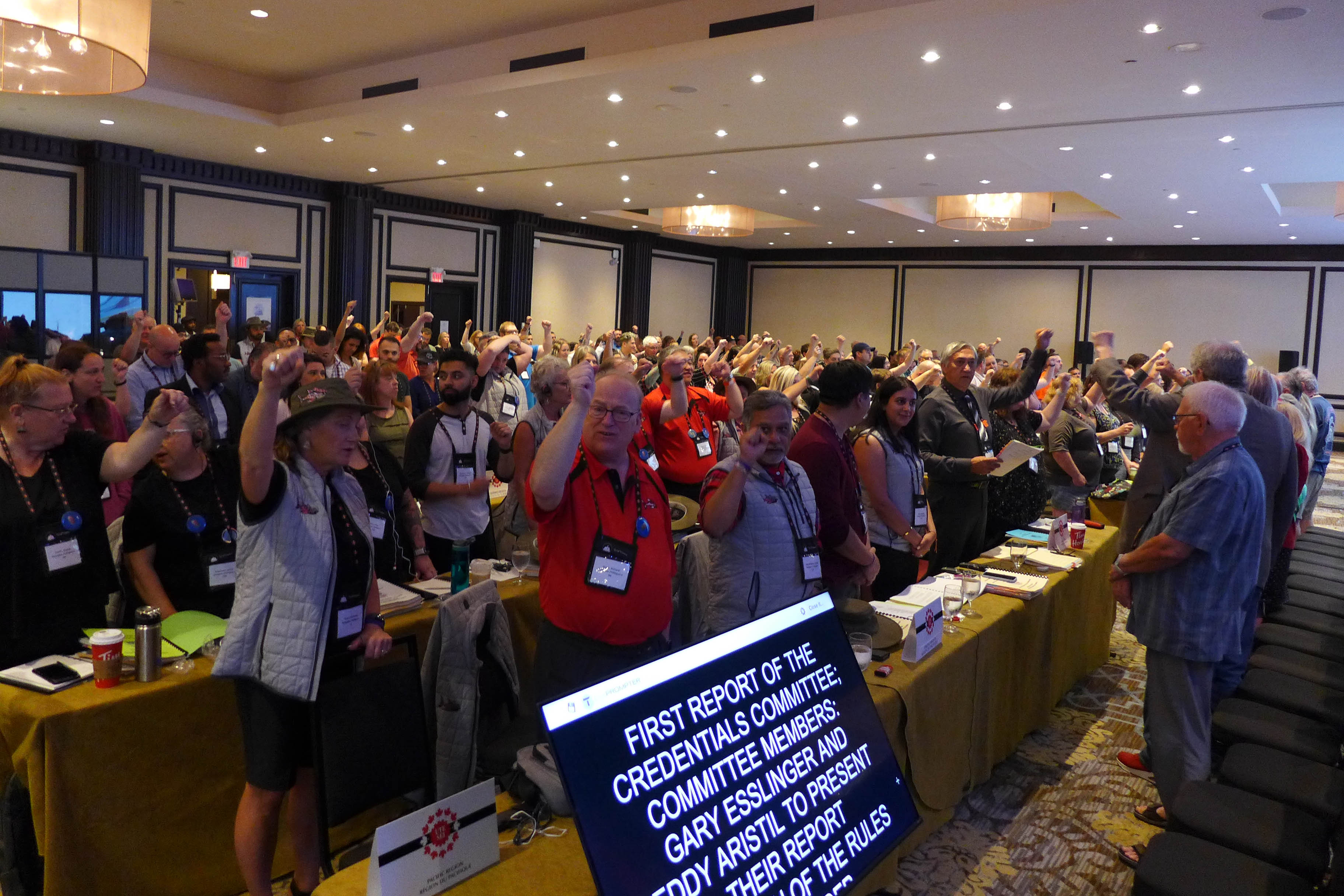 delegates and observers