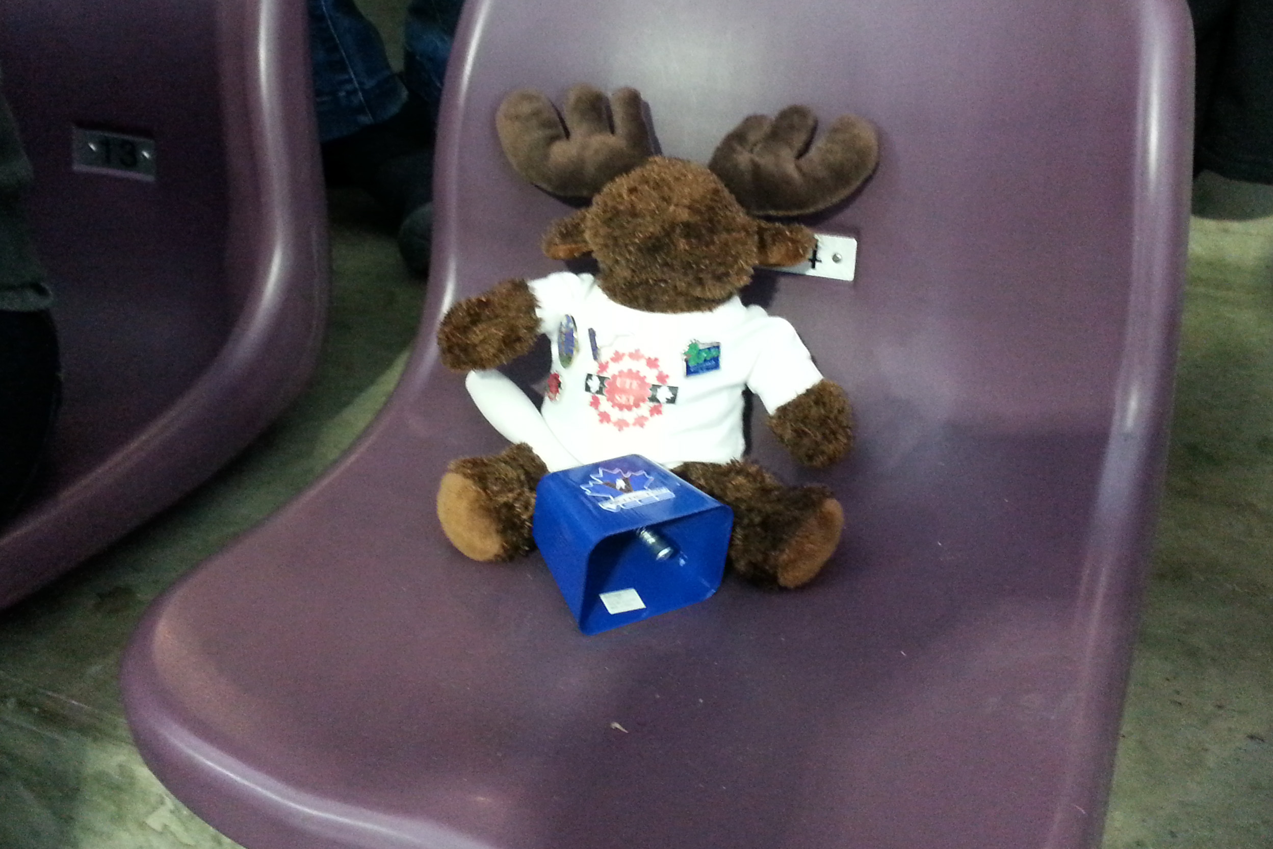 The moose had front row seats at the game and even decided to participate.