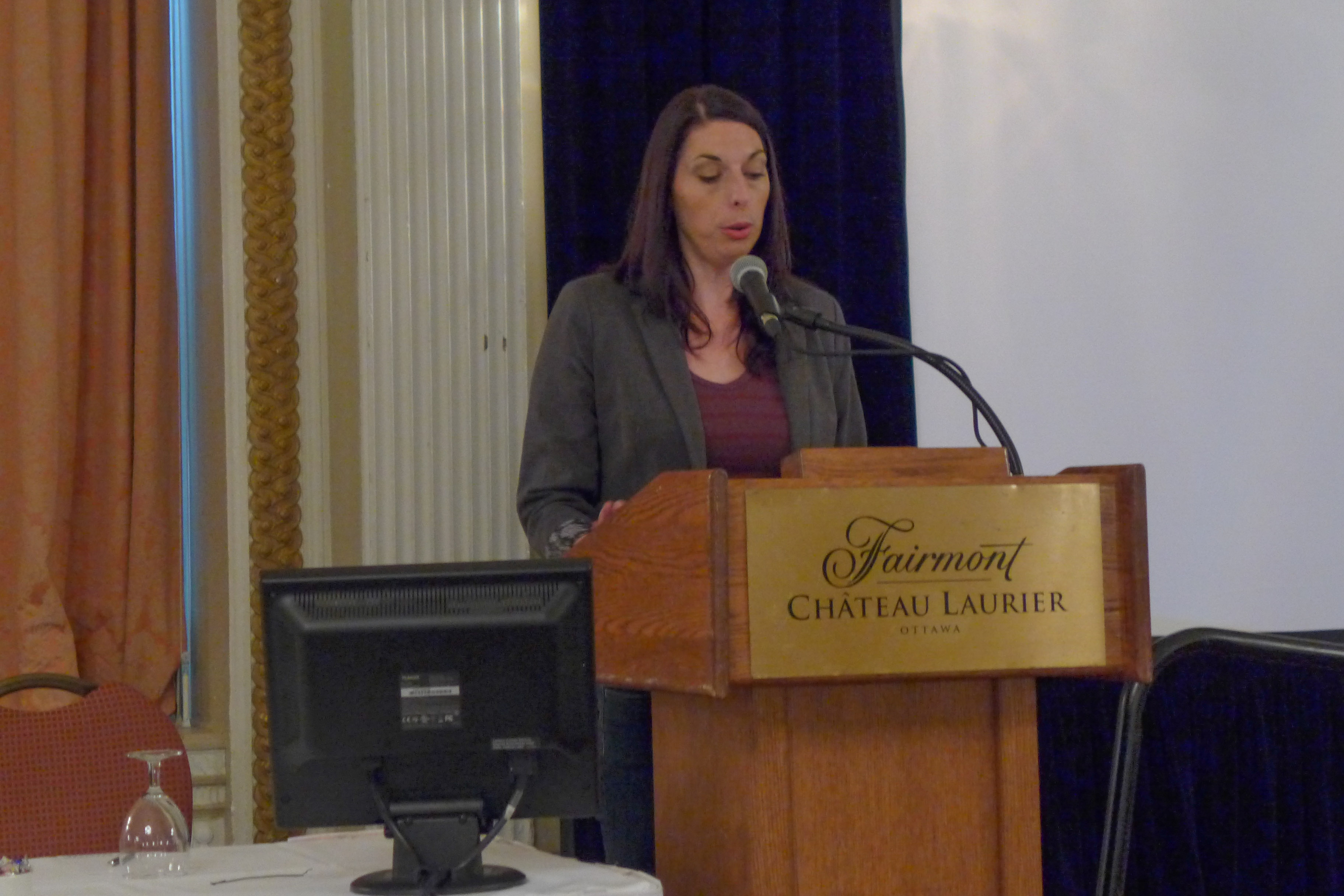 Andrea Kaiser, Convention Host Committee Chair